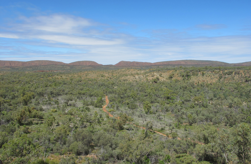 MacDonnell Ranges