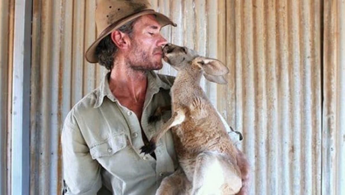 Kangaroo Dundee The Man Saving Joeys In The Outback